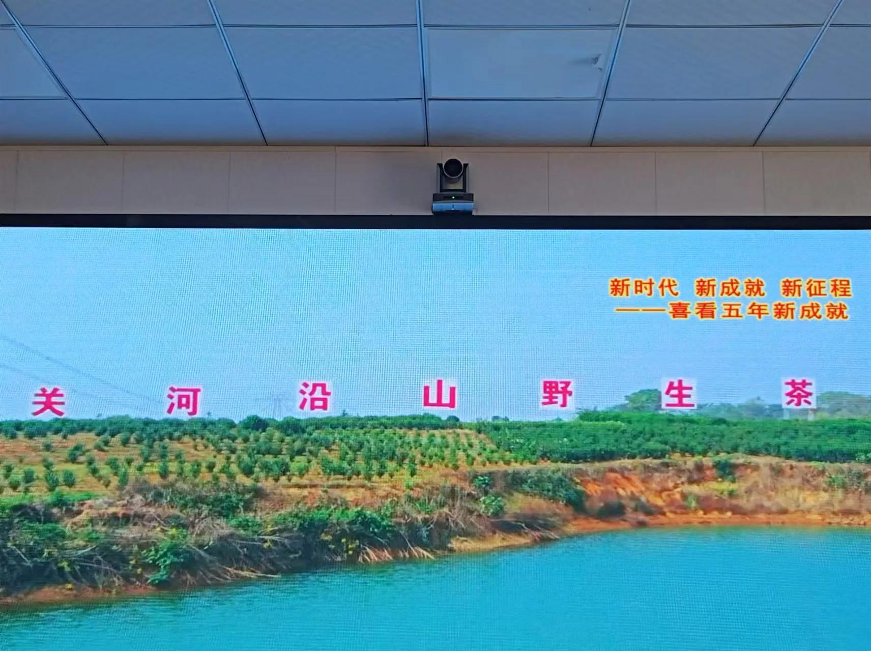 远方传来美丽的无为之歌