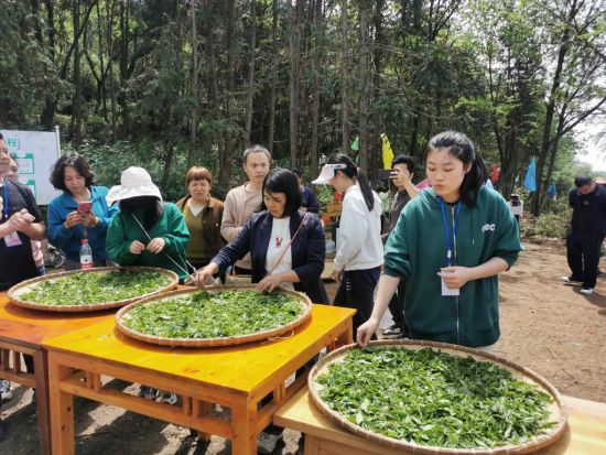 “继网开来·链动怀化——品千年贡茶·话茶乡振兴”网宣活动。 “继网开来·链动怀化——品千年贡茶·话茶乡振兴”网宣活动。