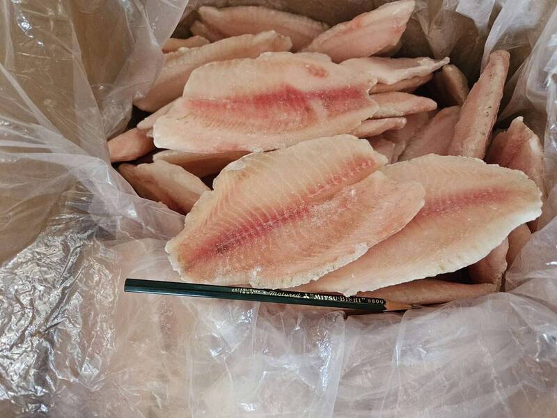 海关查获走私的中国吴郭鱼鱼片。(高雄关提供) 海关查获走私的中国吴郭鱼鱼片。(高雄关提供)