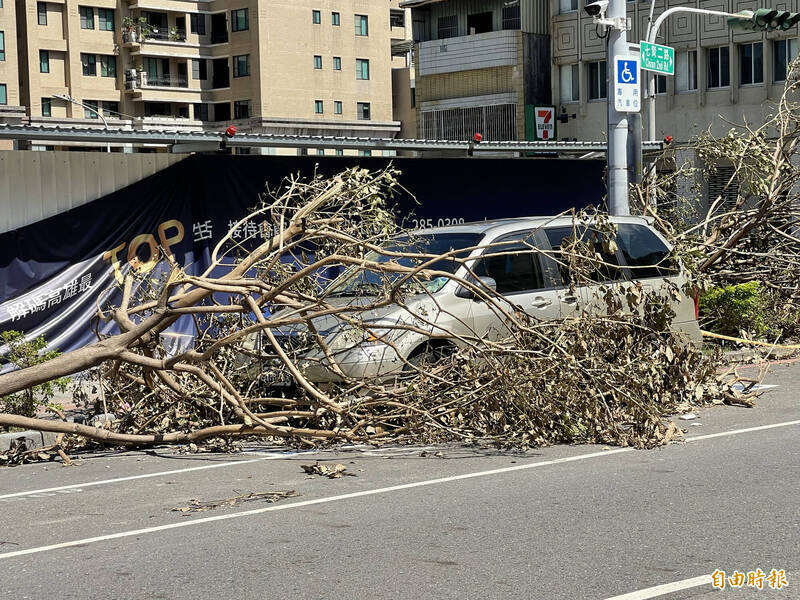 去年9月海葵台风来袭,高雄市有600多棵树倒塌,也有不少车辆被倒塌树木压损;佛卫电视台车辆被倒树压坏,提告市府请求国赔。示意图,此案非当事车辆。(资料照) 去年9月海葵台风来袭,高雄市有600多棵树倒塌,也有不少车辆被倒塌树木压损;佛卫电视台车辆被倒树压坏,提告市府请求国赔。示意图,此案非当事车辆。(资料照)