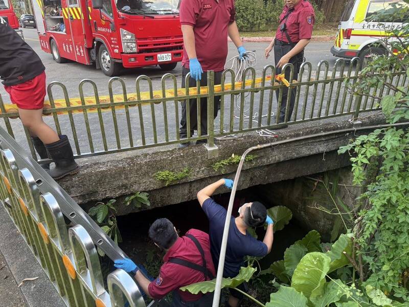 消防人员赶抵现场后,随即爬下水沟将女性死者打捞上岸。(记者陆运锋翻摄) 消防人员赶抵现场后,随即爬下水沟将女性死者打捞上岸。(记者陆运锋翻摄)