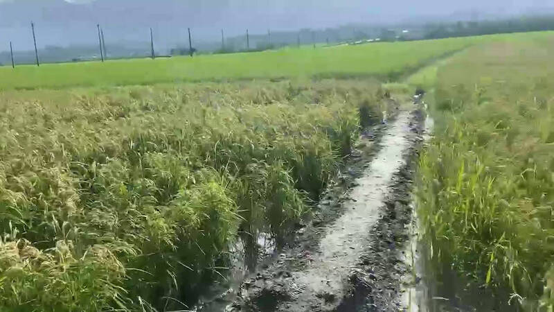 花莲县卓溪乡花75线15公里处附近岔路,昨晚发生一起猎枪误击杀人事件,苏姓男子遭警方带回。(民众提供) 花莲县卓溪乡花75线15公里处附近岔路,昨晚发生一起猎枪误击杀人事件,苏姓男子遭警方带回。(民众提供)