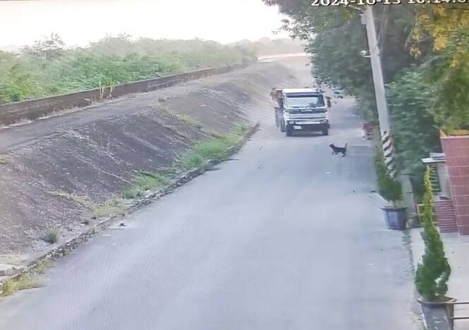 砂石车突然往左偏移,往小黑狗方向行驶。(撷取自影片) 砂石车突然往左偏移,往小黑狗方向行驶。(撷取自影片)