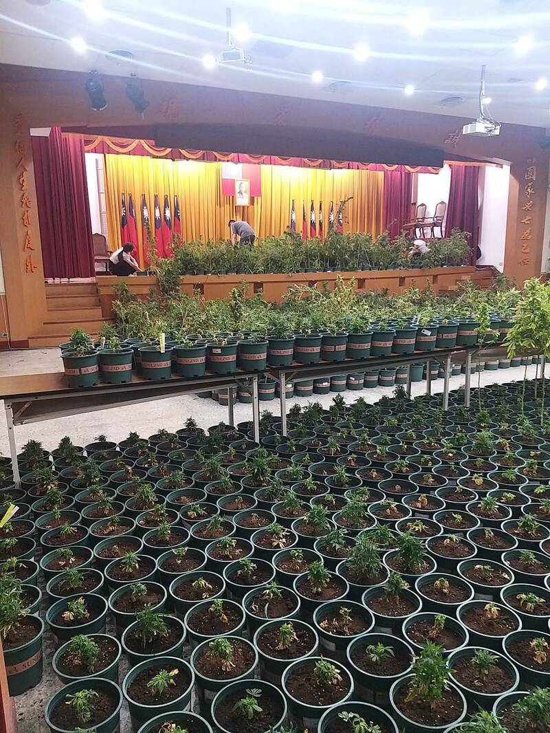 警方查扣大麻植株4519株、大麻种子1666颗、大麻膏等证物。(记者陆运锋翻摄) 警方查扣大麻植株4519株、大麻种子1666颗、大麻膏等证物。(记者陆运锋翻摄)