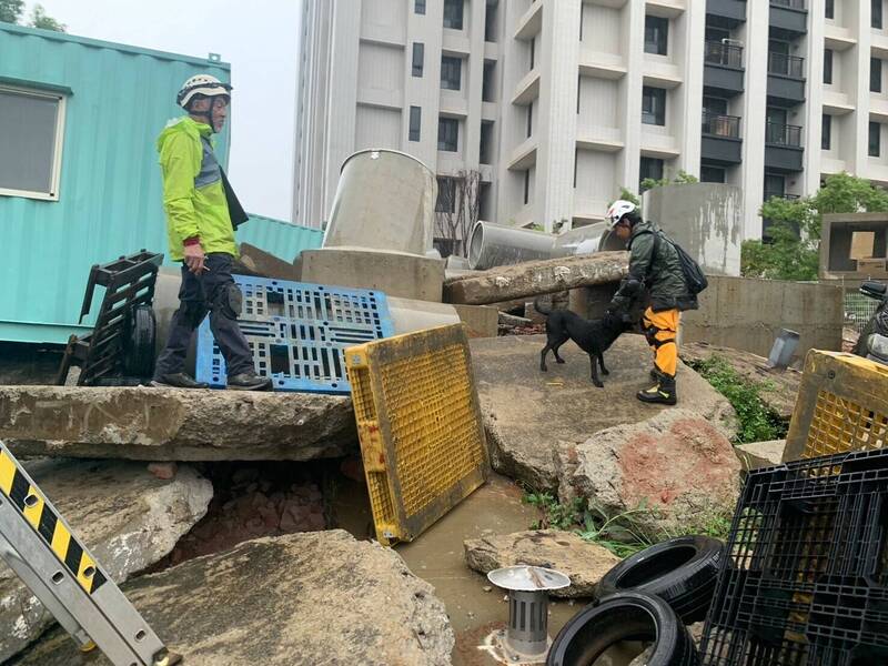搜救犬认证测验过程。(桃园市消防局提供) 搜救犬认证测验过程。(桃园市消防局提供)